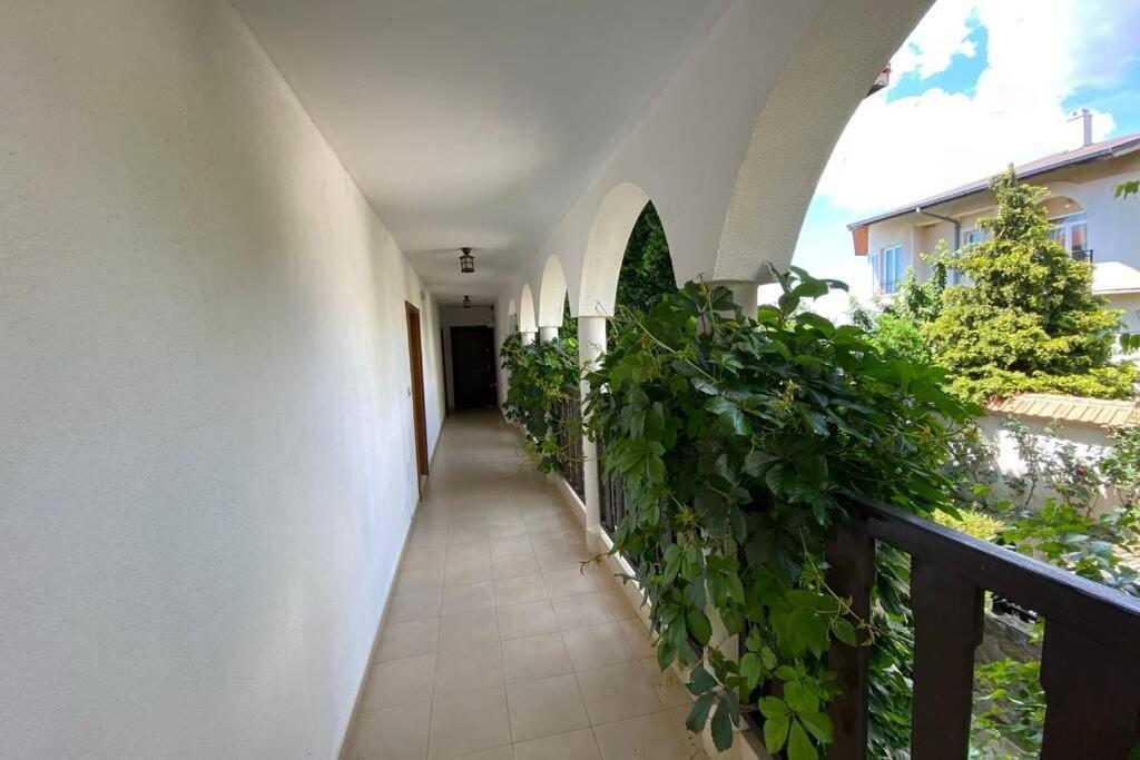 סבטי ולאס Top Complex Apartment On The Beach מראה חיצוני תמונה
